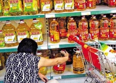 金龍魚為何那么貴？價值所在的品種是什么：金龍魚為何那么貴 金龍魚為何那么貴？價值所在的品種是什么：金龍魚為何那么貴 龍魚百科 第3張