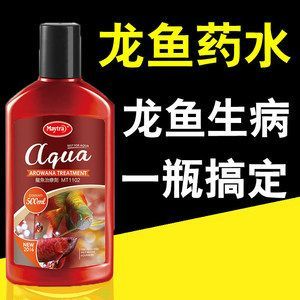 紅龍魚爛鰭怎么治療好：紅龍魚爛鰭怎么治療