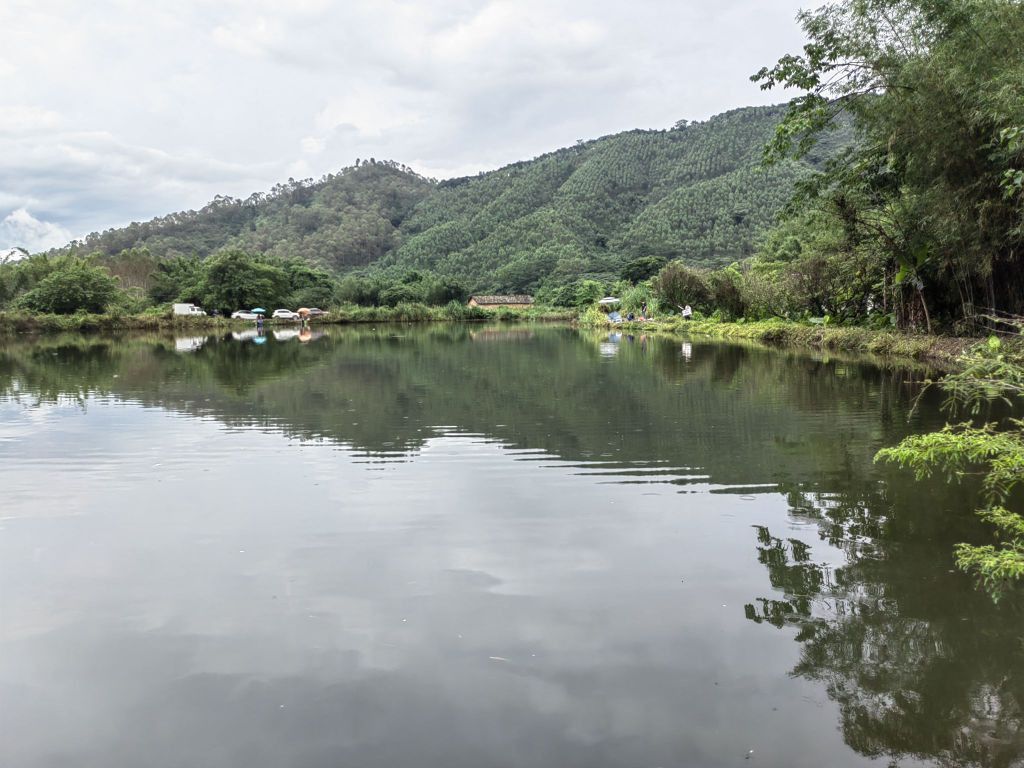 廣東雷龍魚(yú)哪里有的抓啊 廣東雷龍魚(yú)哪里有的抓啊 龍魚(yú)百科 第1張
