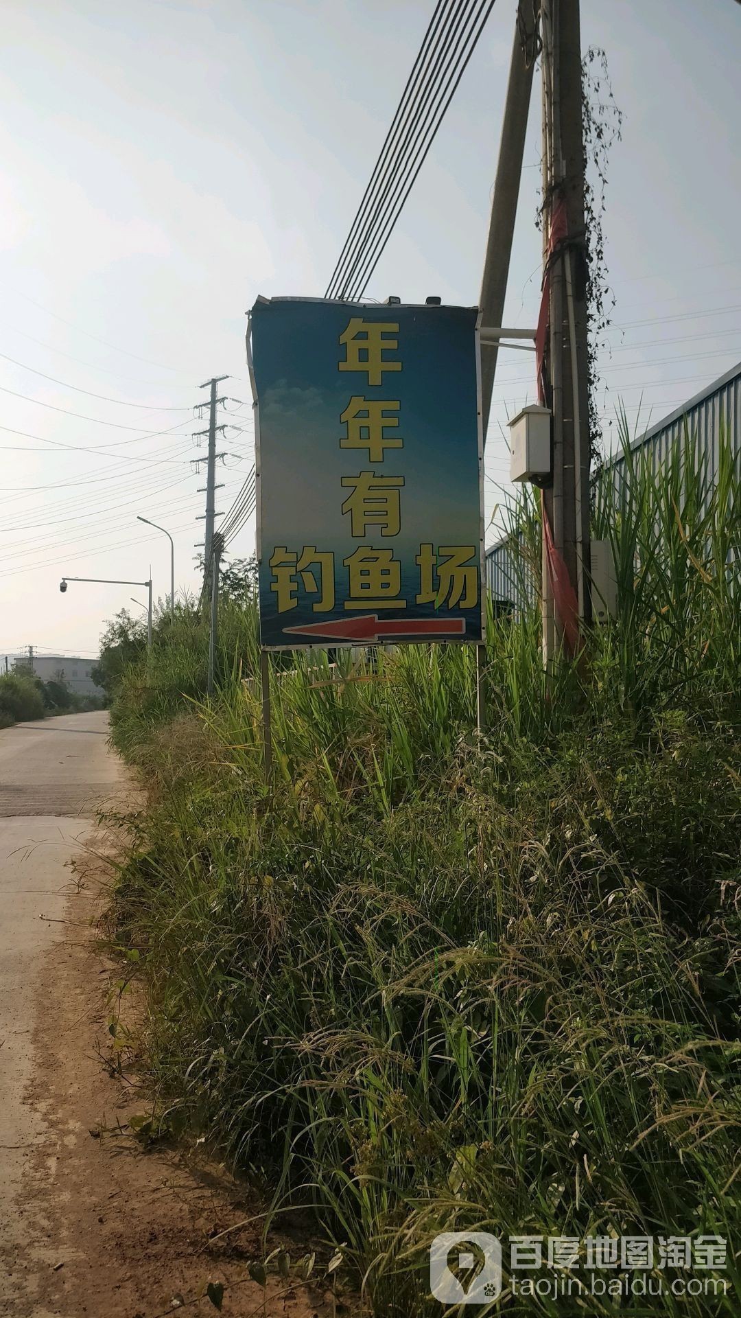 廣東雷龍魚(yú)哪里有的抓啊 廣東雷龍魚(yú)哪里有的抓啊 龍魚(yú)百科 第2張