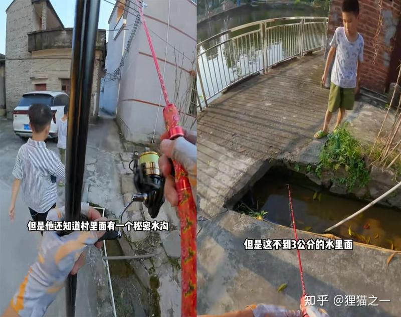 廣東雷龍魚(yú)哪里有的抓啊 廣東雷龍魚(yú)哪里有的抓啊 龍魚(yú)百科 第9張