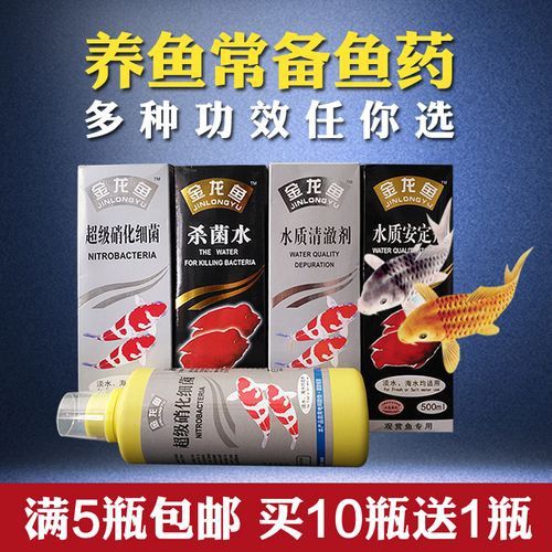 金龍魚一天喂幾次比較好？