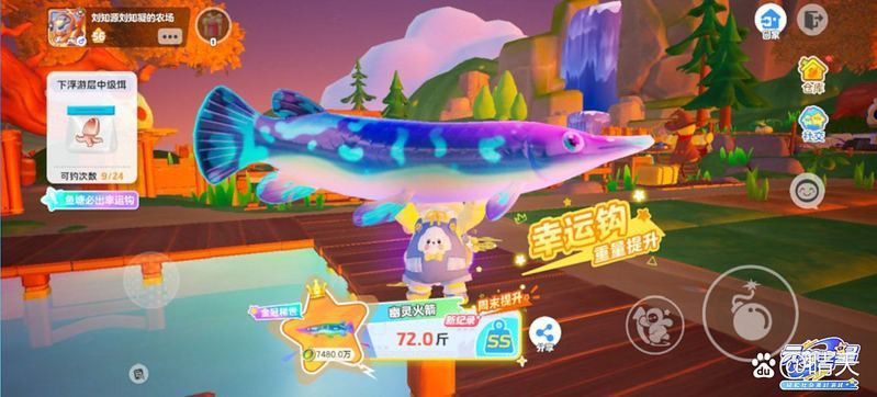 幽靈火箭和龍魚(yú)能混養(yǎng)嗎