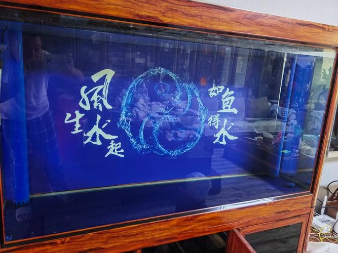 養(yǎng)龍魚(yú)魚(yú)缸背景圖