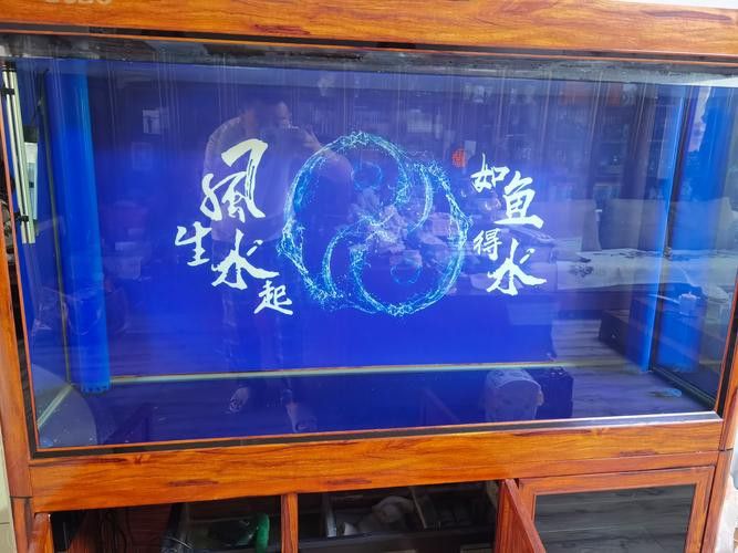 養(yǎng)龍魚(yú)魚(yú)缸背景圖