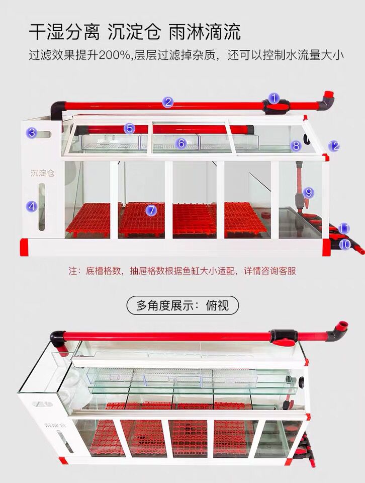 德克和索一哪個好 德克和索一哪個好 龍魚百科 第2張
