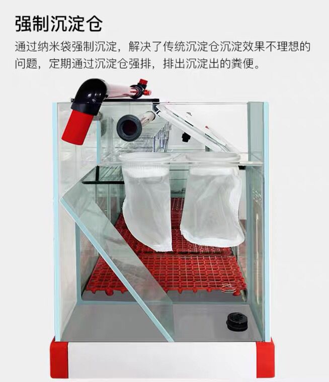 德克和索一哪個好 德克和索一哪個好 龍魚百科 第3張