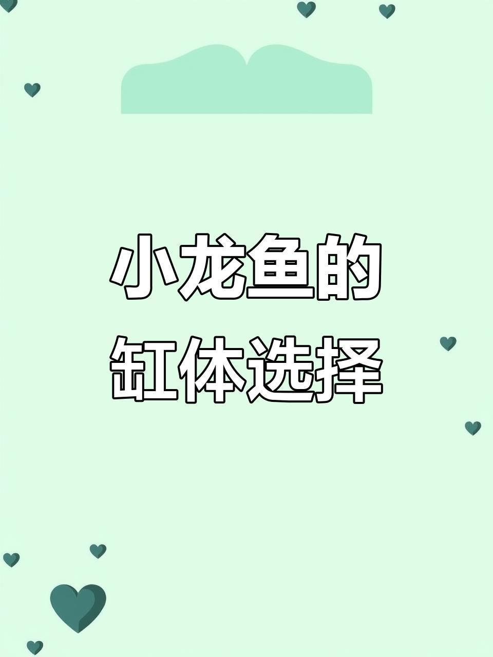 龍魚買大的還是買小的好一點