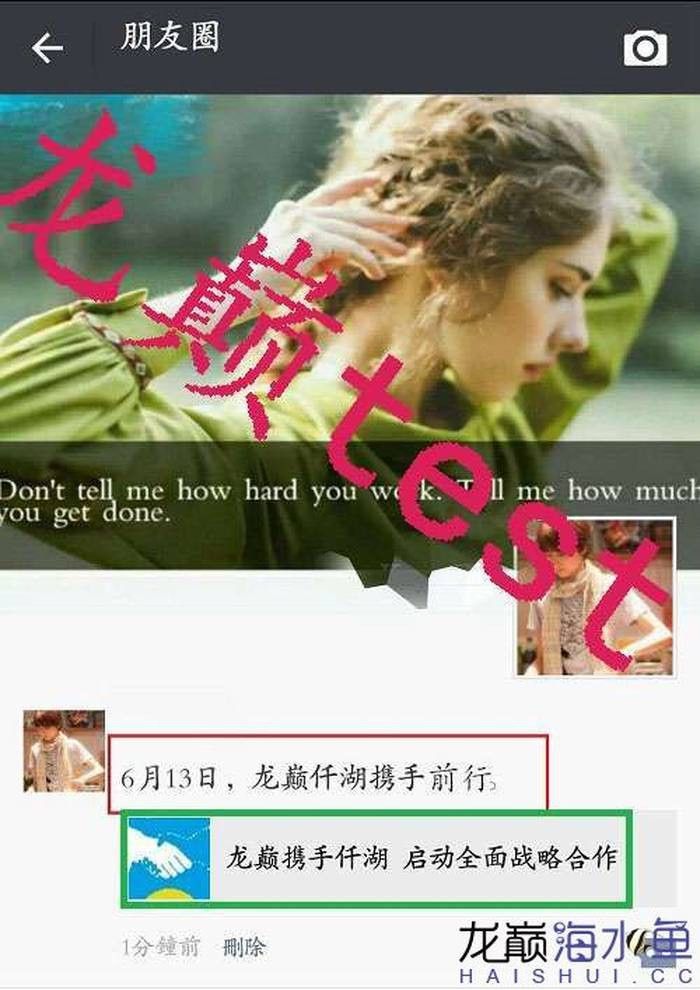 煙臺龍魚交流群微信公眾號是多少