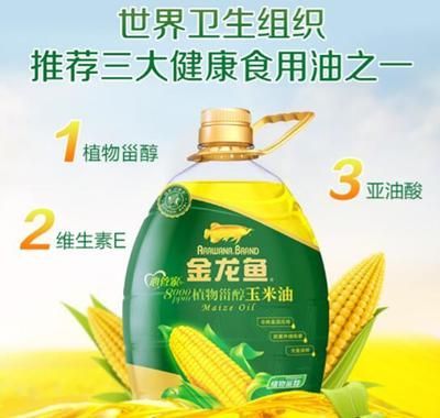 金龍魚出現(xiàn)問題：金龍魚再現(xiàn)問題油-專題-新聞頻道和訊財經(jīng)新聞
