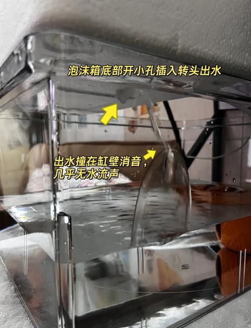 如何維持六角龍的飼養溫度穩定？