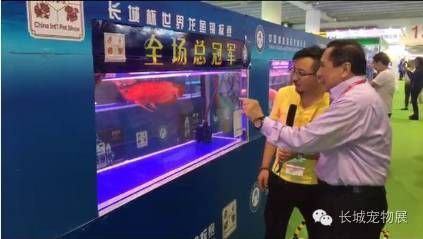 龍魚協會登錄入口2024（中國漁業協會龍魚分會官方網站登錄入口信息有哪些）