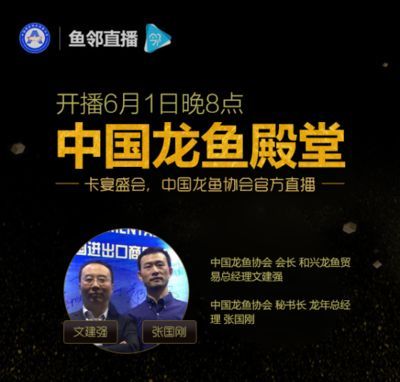 龍魚協會登錄入口2024（中國漁業協會龍魚分會官方網站登錄入口信息有哪些）