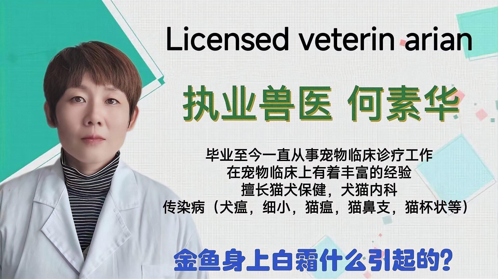觀賞魚白霜病的早期癥狀