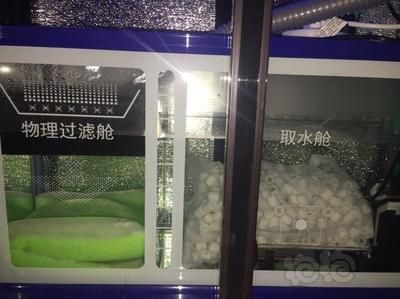 龍魚開缸養(yǎng)水