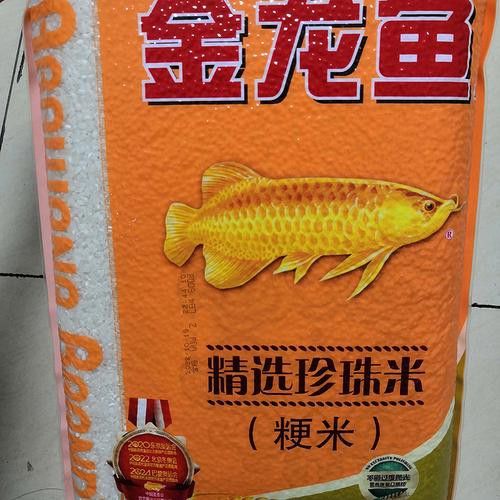 金龍魚罐裝米 金龍魚罐裝米 龍魚百科 第10張