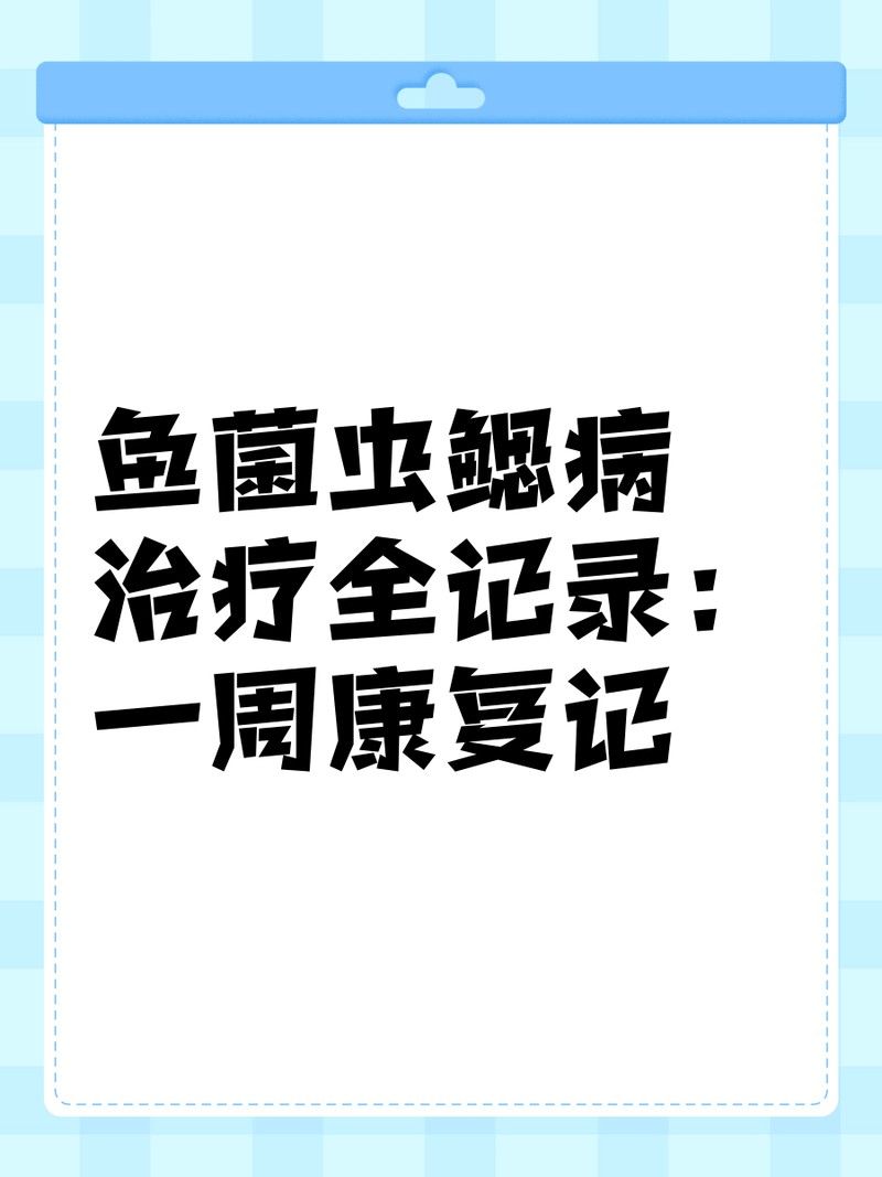金龍魚驅蟲后多久恢復正常