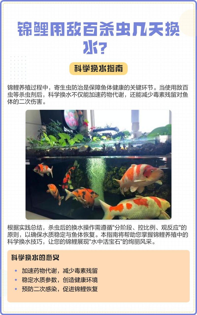 金龍魚驅蟲后多久恢復正常