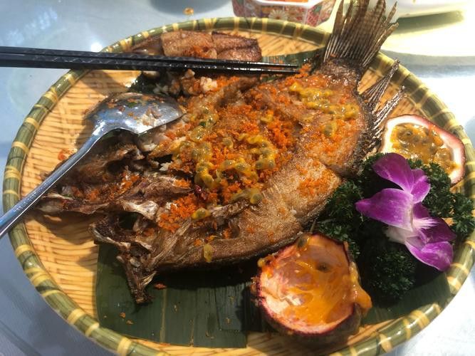 海南過山龍魚圖片高清大圖 海南過山龍魚圖片高清大圖 龍魚百科 第8張