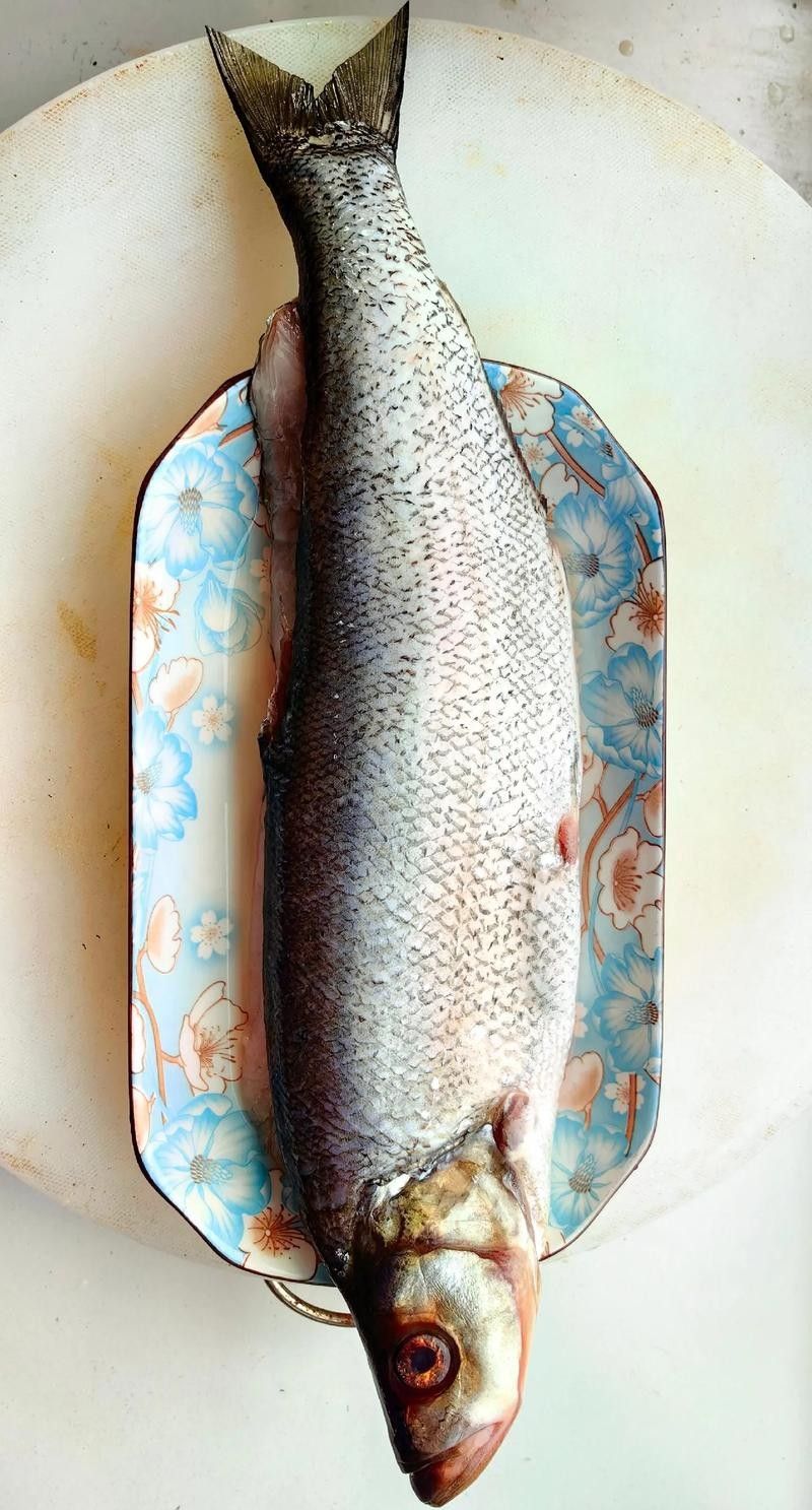 龍魚翹嘴圖片欣賞大全