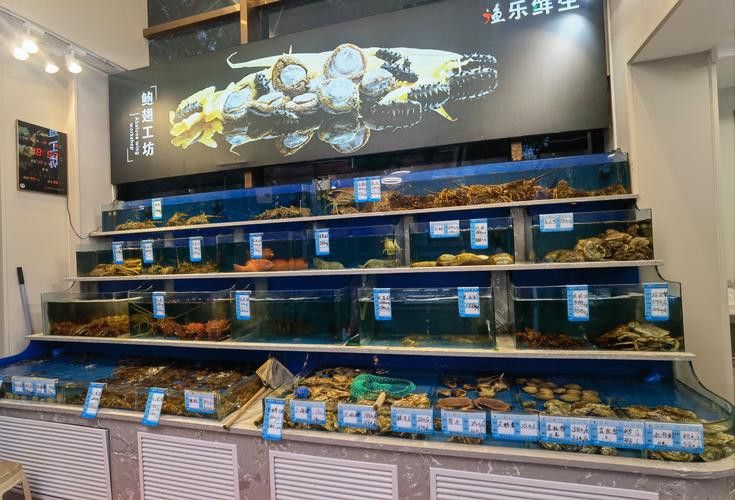 天津哪里賣龍魚比較好吃的 天津哪里賣龍魚比較好吃的 龍魚百科 第1張