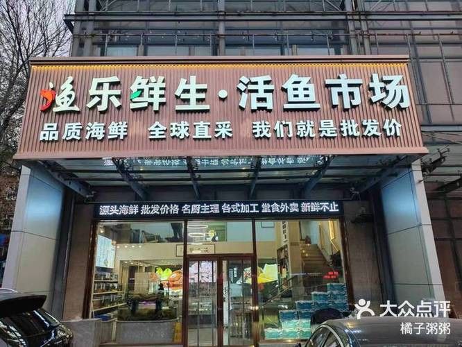 天津哪里賣龍魚比較好吃的 天津哪里賣龍魚比較好吃的 龍魚百科 第3張