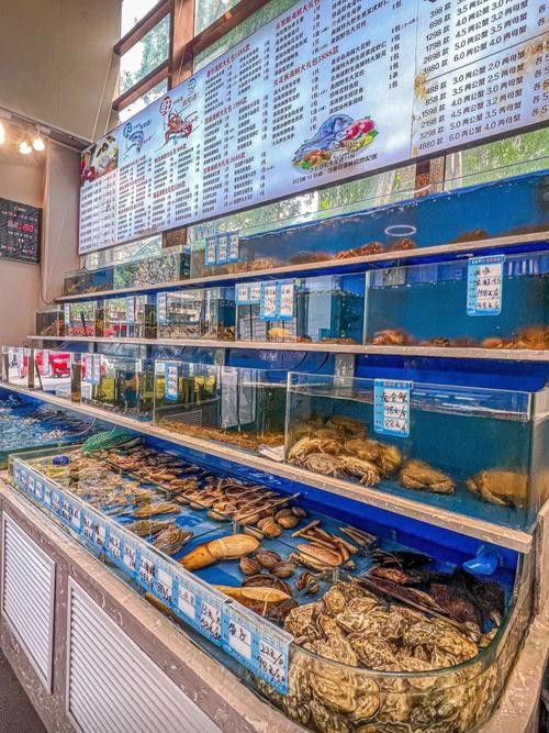 天津哪里賣龍魚比較好吃的 天津哪里賣龍魚比較好吃的 龍魚百科 第2張