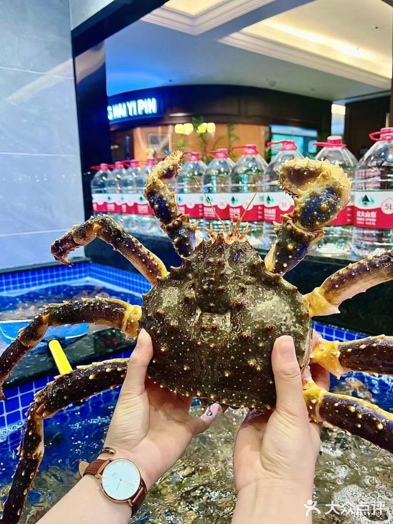 天津哪里賣龍魚比較好吃的 天津哪里賣龍魚比較好吃的 龍魚百科 第8張