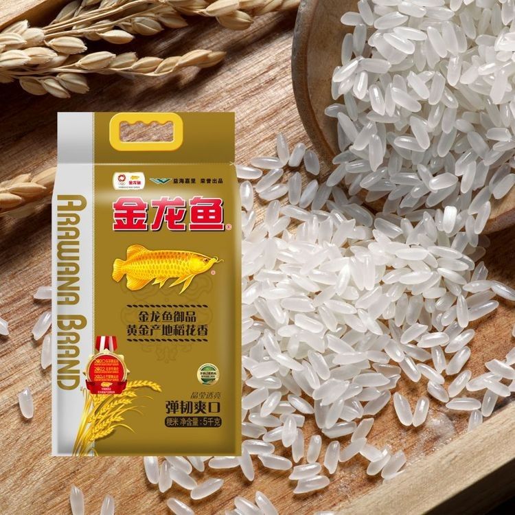 金龍魚進貨渠道有哪些