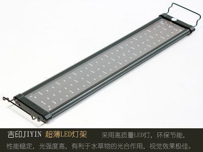 龍魚led燈：龍魚led燈品牌對(duì)比評(píng)測(cè)龍魚led燈光源