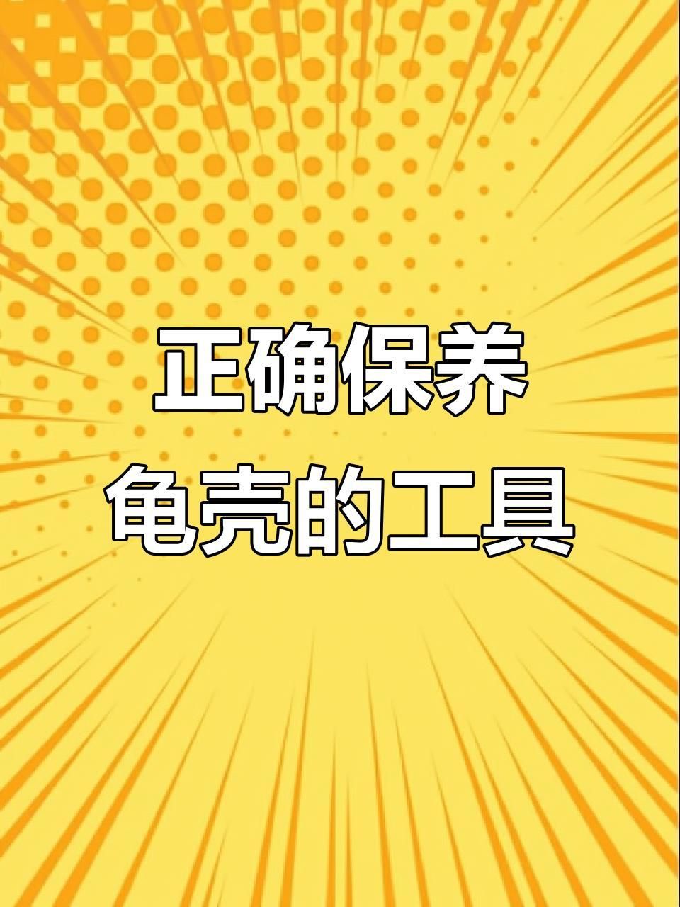 如何保持龜殼亮麗 如何保持龜殼亮麗 龍魚百科 第8張
