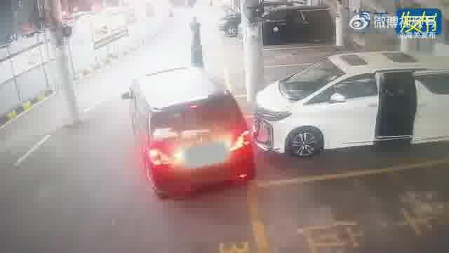 哪里可以購買到金龍魚活體？