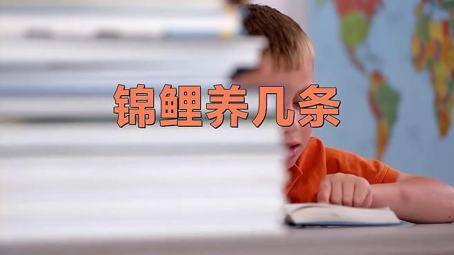 錦鯉養5條好還是7條好