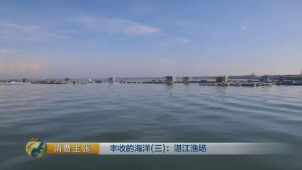 黃龍魚和什么魚一起養(yǎng):黃龍魚可以與什么魚混養(yǎng) 龍魚百科 第2張 黃龍魚和什么魚一起養(yǎng):黃龍魚可以與什么魚混養(yǎng) 黃龍魚和什么魚一起養(yǎng):黃龍魚可以與什么魚混養(yǎng) 龍魚百科 第2張