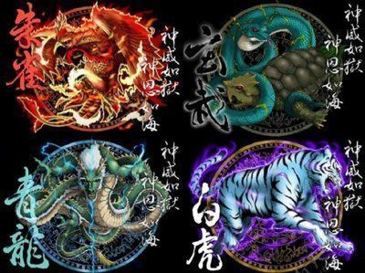 龍魚的配魚四大神獸是誰配的呢（龍魚的配魚四大神獸）