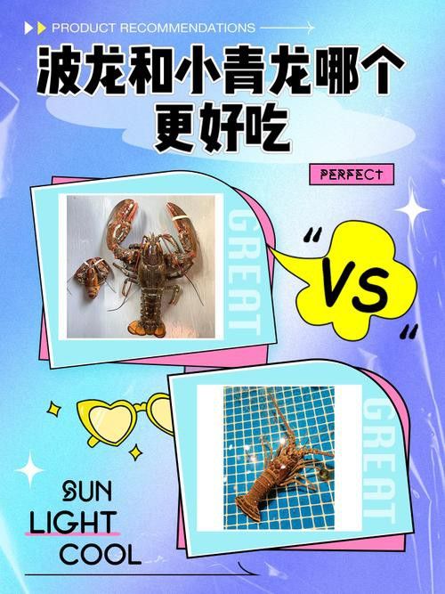 如何區(qū)分波士頓龍蝦和小青龍？