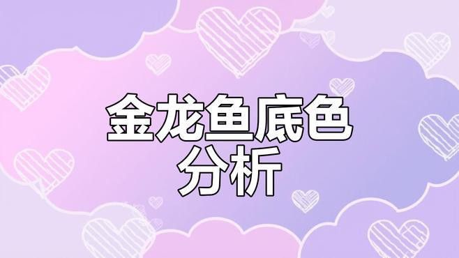 紫底金龍魚價格