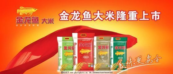 金龍魚廣告倒放：關(guān)于金龍魚廣告倒放的相關(guān)信息：金龍魚廣告倒放的相關(guān)信息