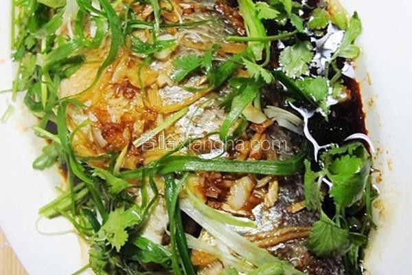 清蒸紅龍魚需要多長時(shí)間？