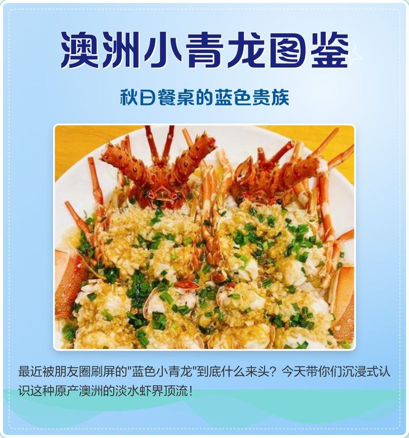 產地直供的小青龍有哪些優勢？ 產地直供的小青龍有哪些優勢？ 龍魚百科 第8張