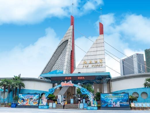 長沙龍魚水族店 長沙龍魚水族店 龍魚百科 第6張