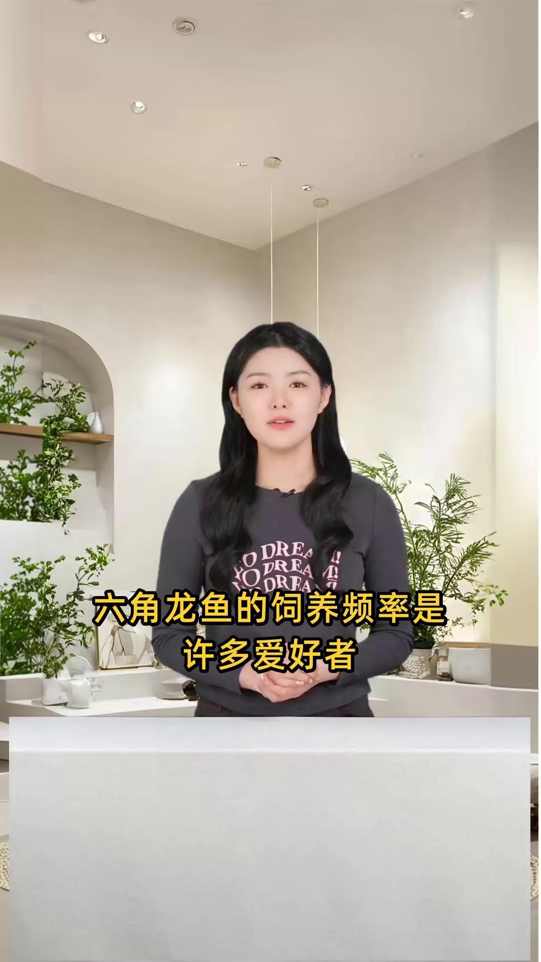 六角龍魚多久喂一次食？