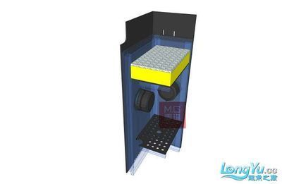 龍魚缸水位的適宜范圍（養(yǎng)龍魚時魚缸的水位控制在30到50厘米之間最為合適）