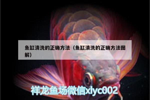 龍魚(yú)底色不干凈怎么處理，如何判斷龍魚(yú)營(yíng)養(yǎng)是否均衡 龍魚(yú)底色不干凈怎么處理，如何判斷龍魚(yú)營(yíng)養(yǎng)是否均衡 龍魚(yú)百科 第4張