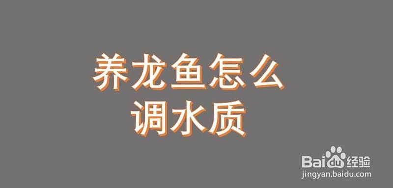 如何維持龍魚繁殖所需的水質？