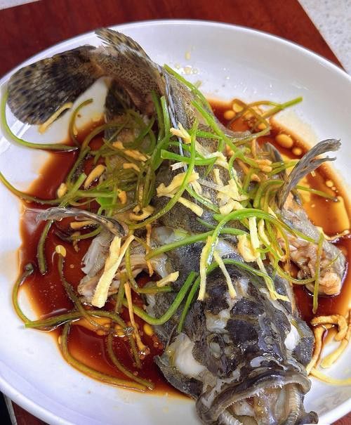 如何區分其他種類的石斑魚？