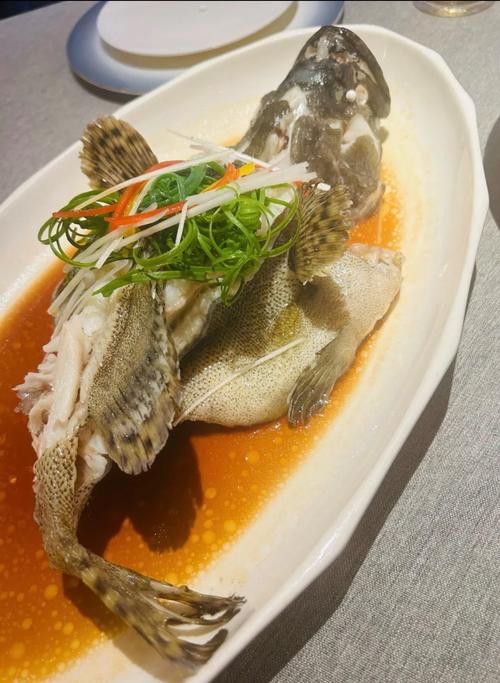 如何區分其他種類的石斑魚？