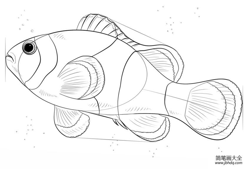 金龍魚簡筆畫畫法（兒童金龍魚簡筆畫視頻教程金龍魚簡筆畫視頻教程） 金龍魚簡筆畫畫法（兒童金龍魚簡筆畫視頻教程金龍魚簡筆畫視頻教程） 龍魚百科 第3張