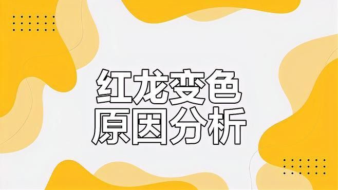 如何判斷紅龍魚的健康狀況？ 如何判斷紅龍魚的健康狀況？ 龍魚百科 第6張