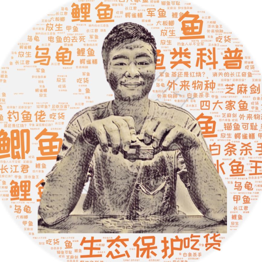 金鯽魚為何被國家禁止